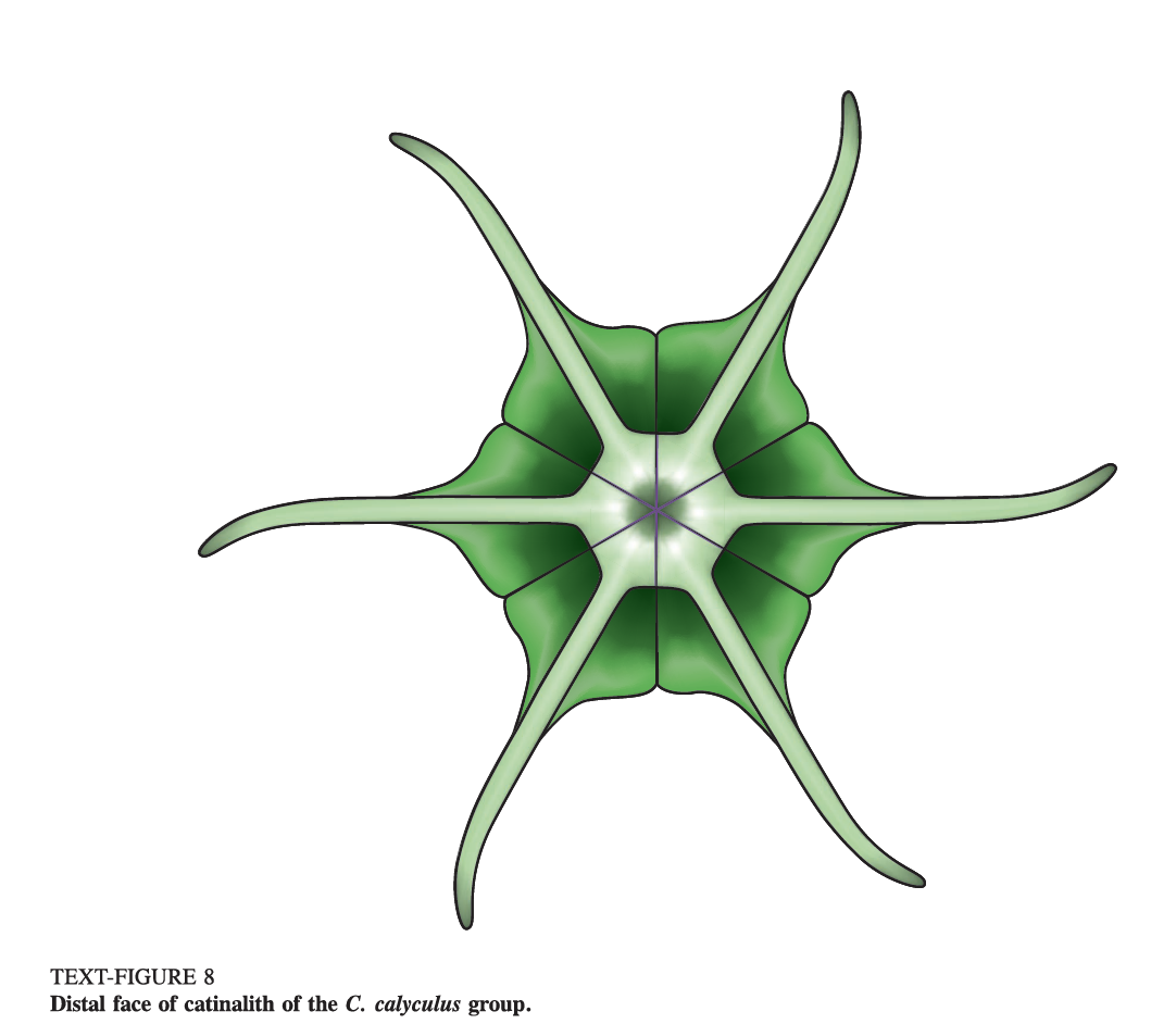 Fig. 5