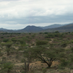 Paleoenvironmental Research Laboratory