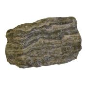 Gneiss