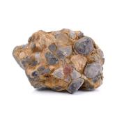 Conglomerate